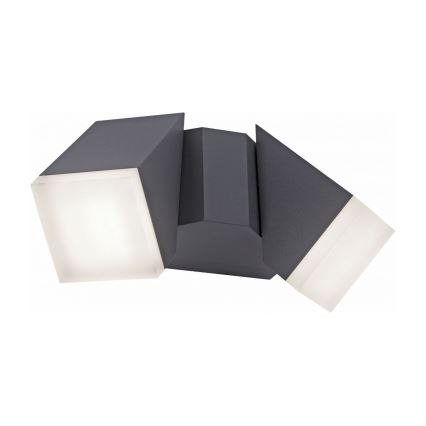 Paul Neuhaus 9722-13 - Aplique LED de exterior RYAN 2xLED/5W/230V IP54