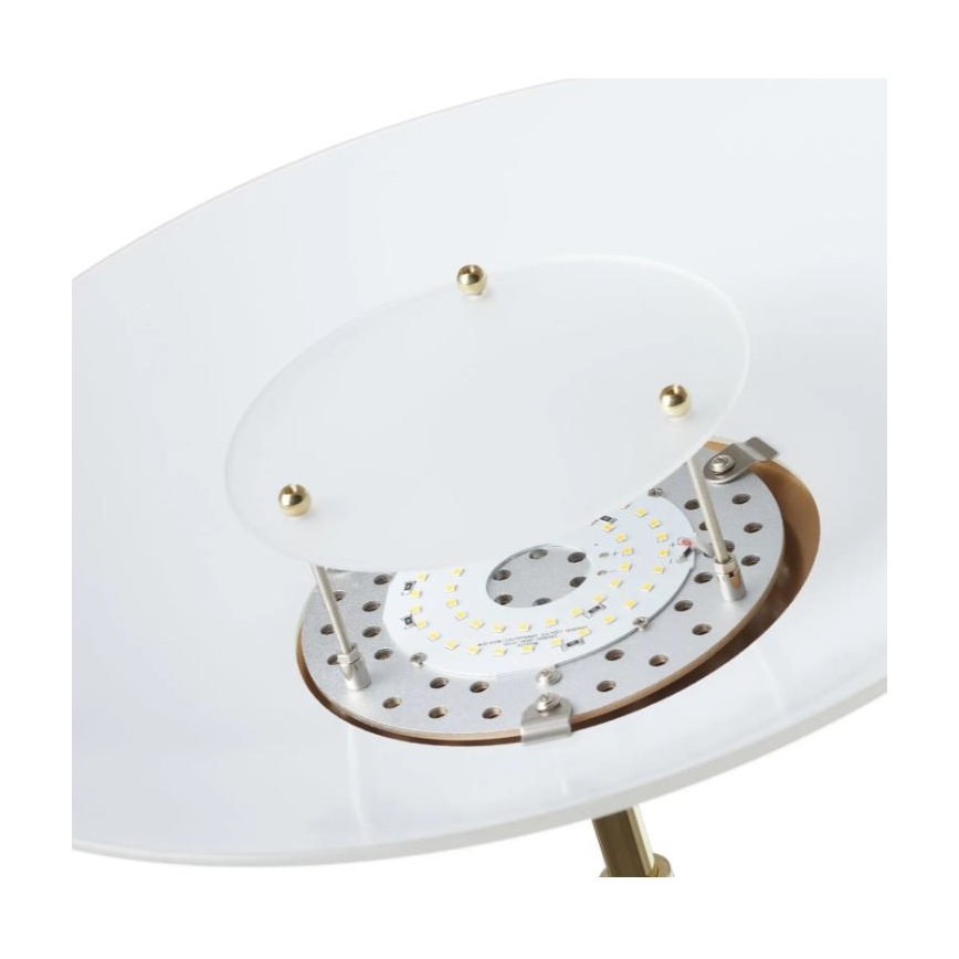 Paul Neuhaus - 655-60 - Lámpara LED Regulable ALFRED 1xLED/28W/230V + 1xLED/4W/230V