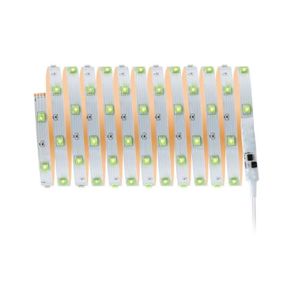 Paulmann 3988 - Tira LED RGBW regulable de 13 W TIP, 5 m, 230 V + mando a distancia