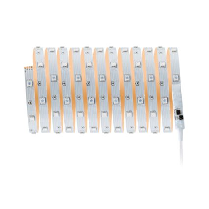 Paulmann 3988 - Tira LED RGBW regulable de 13 W TIP, 5 m, 230 V + mando a distancia