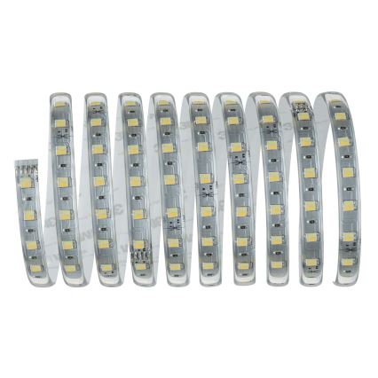 Paulmann 70624 - Tira LED regulable MAXLED 20W 3m 230V + mando a distancia