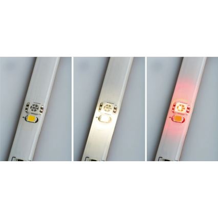 Paulmann 70696 - Tira LED regulable RGBW/8W DIGITAL 3m 230V + mando a distancia