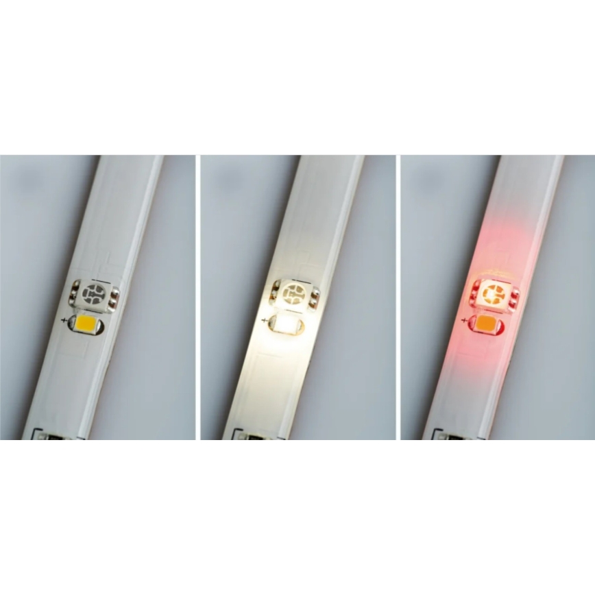 Paulmann 70696 - Tira LED regulable RGBW/8W DIGITAL 3m 230V + mando a distancia