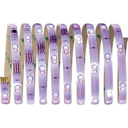 Paulmann 70696 - Tira LED regulable RGBW/8W DIGITAL 3m 230V + mando a distancia