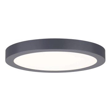 Paulmann 70988 - LED/22W Plafón ABIA 230V antracita