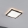 Paulmann 71000 - LED/11,2W Panel de techo ATRIA 230V 3000K 19x19 cm negro
