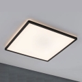 Paulmann 71002 - LED/22W Panel regulable ATRIA 230V 3000K 42x42 cm negro