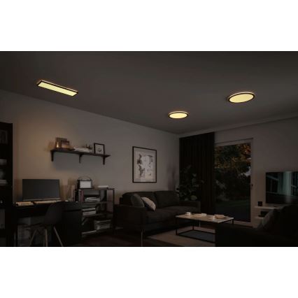 Paulmann 71003 - LED/22W Panel regulable ATRIA 230V 3000K 20x58 cm negro