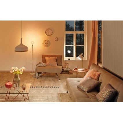 Paulmann 79615 - 1xE27/20W Base de lámpara NORDIN 230V