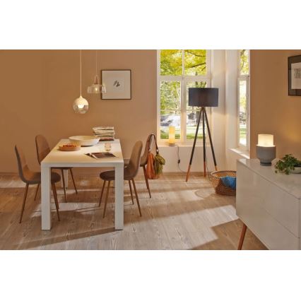 Paulmann 79633 - 1xE27/20W Lámpara de pie RURIK 230V