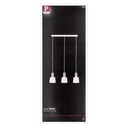 Paulmann 79657 - 3xE14/20W Lámpara colgante NEORDIC HALDAR 230V