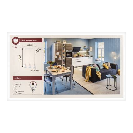 Paulmann 79657 - 3xE14/20W Lámpara colgante NEORDIC HALDAR 230V