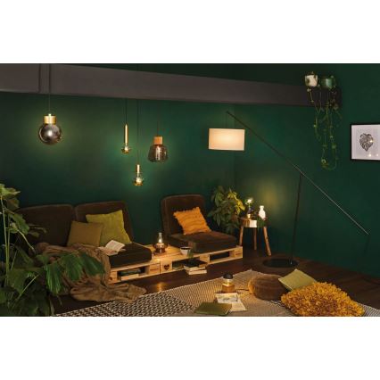 Paulmann 79736 - 1xE27/20W Lámpara de mesa IBEN 230V color ahumado