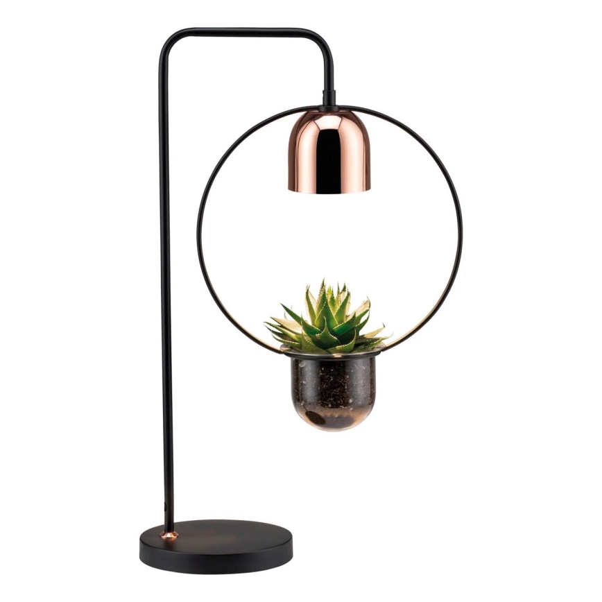 Paulmann 79746 - 1xGU10/20W Lámpara de mesa FANJA 230V ahumada