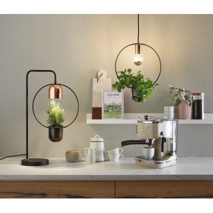 Paulmann 79746 - 1xGU10/20W Lámpara de mesa FANJA 230V ahumada