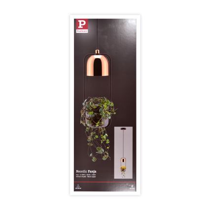 Paulmann 79749 - 1xGU10/20W Lámpara de araña con cable FANJA 230V