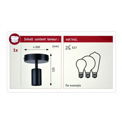 Paulmann 79760 - Plafón HALDOR 1xE27/20W/230V