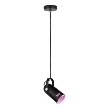 Paulmann 79766 - 1xE27/15W Lámpara colgante con cable LAVEA 230V negra