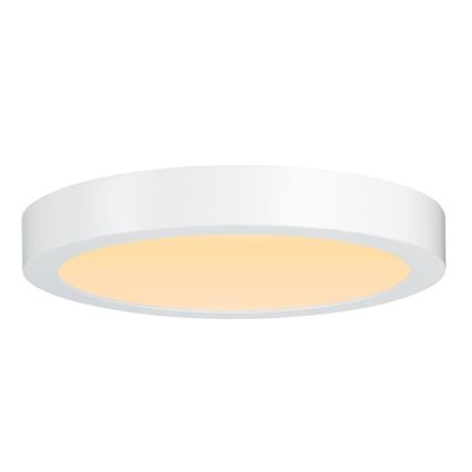 Paulmann 79799 - LED/19W Plafón CARPO 230V 2300/2500/3000K