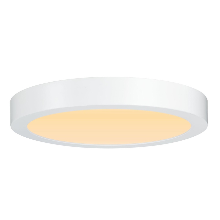 Paulmann 79799 - LED/19W Plafón CARPO 230V 2300/2500/3000K