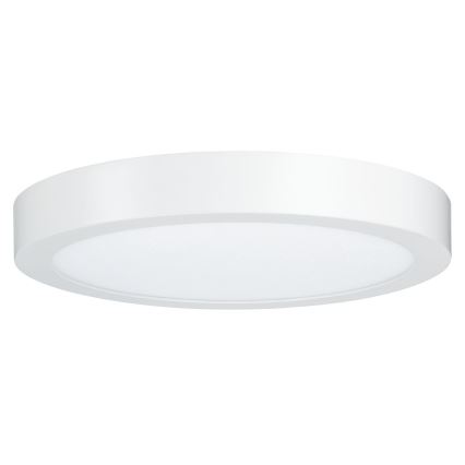 Paulmann 79799 - LED/19W Plafón CARPO 230V 2300/2500/3000K