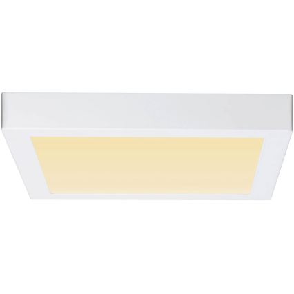 Paulmann 79801 - Plafón LED/13W CARPO 230V 2300/2500/3000K