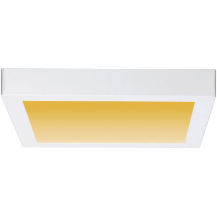 Paulmann 79801 - Plafón LED/13W CARPO 230V 2300/2500/3000K