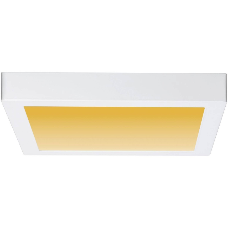 Paulmann 79801 - Plafón LED/13W CARPO 230V 2300/2500/3000K