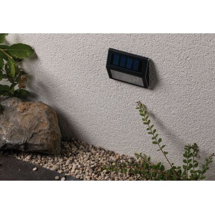 Paulmann 94234 - LED/0,05W IP44 Lámpara solar exterior con sensor DAYTON 1,2V 400 mAh