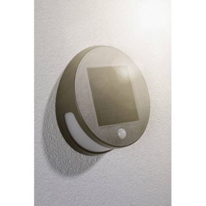 Paulmann 94265 - LED/3W IP44 Lámpara solar exterior con sensor HELENA 3,7V 1800 mAh