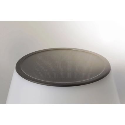 Paulmann 94309 - Lámpara solar regulable LED/0,8W IP44 LILLESOL 3,7V 2000 mAh