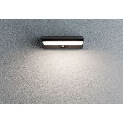 Paulmann 94333 - LED/7,4W IP44 Aplique para exterior con sensor HOUSE 230V