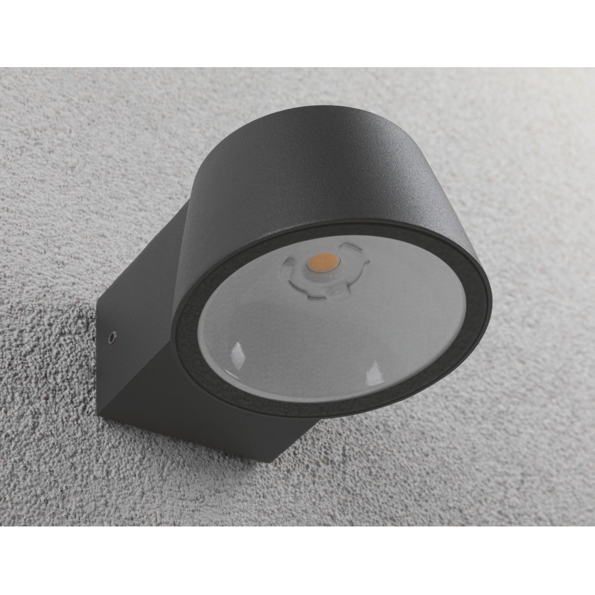 Paulmann 94452 - Aplique de exterior LED/6W IP44 CAPEA 230V