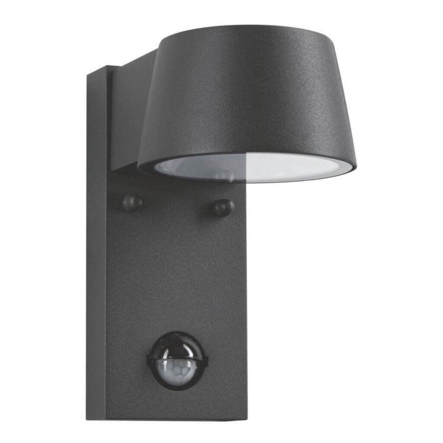 Paulmann 94453 - Aplique de exterior con sensor LED/6W IP44 CAPEA 230V