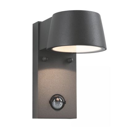 Paulmann 94453 - Aplique de exterior con sensor LED/6W IP44 CAPEA 230V