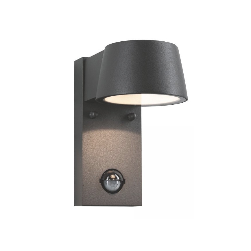 Paulmann 94453 - Aplique de exterior con sensor LED/6W IP44 CAPEA 230V