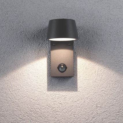 Paulmann 94453 - Aplique de exterior con sensor LED/6W IP44 CAPEA 230V