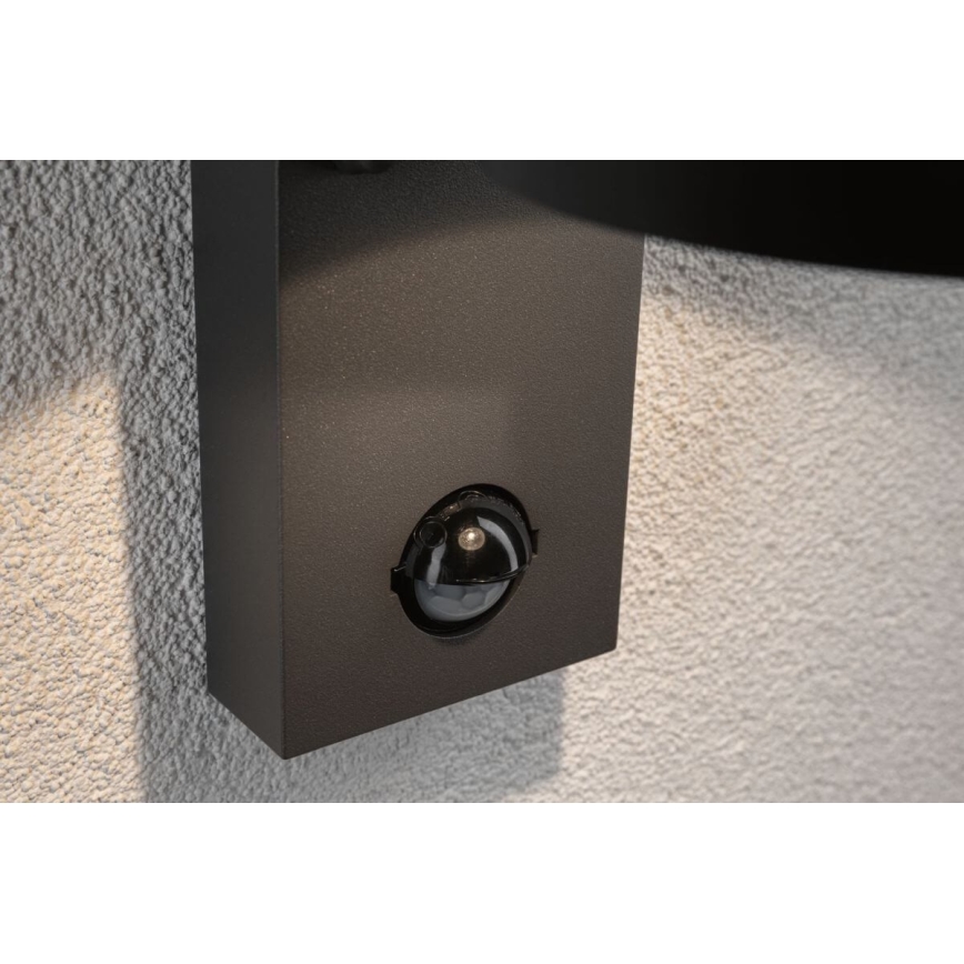 Paulmann 94453 - Aplique de exterior con sensor LED/6W IP44 CAPEA 230V