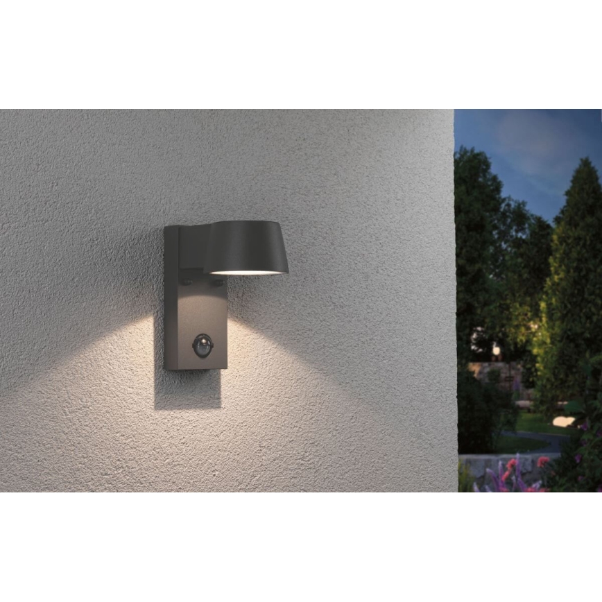 Paulmann 94453 - Aplique de exterior con sensor LED/6W IP44 CAPEA 230V