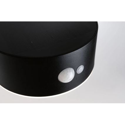 Paulmann 94570 - LED/5,5W IP44 Aplique solar con sensor EILEEN 3,7V 2000 mAh