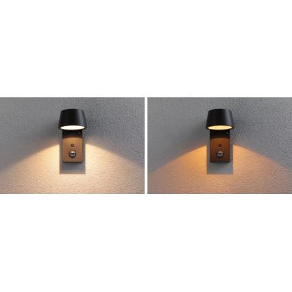 Paulmann 94714 - LED/6W IP44 Aplique para exterior con sensor CAPERA 230V 2200/3000K