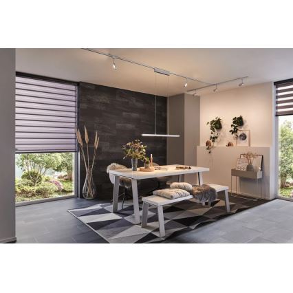 Paulmann 95578 - Lámpara colgante LED/40W regulable en una cuerda URAIL LENTO 230V 2700-6500K