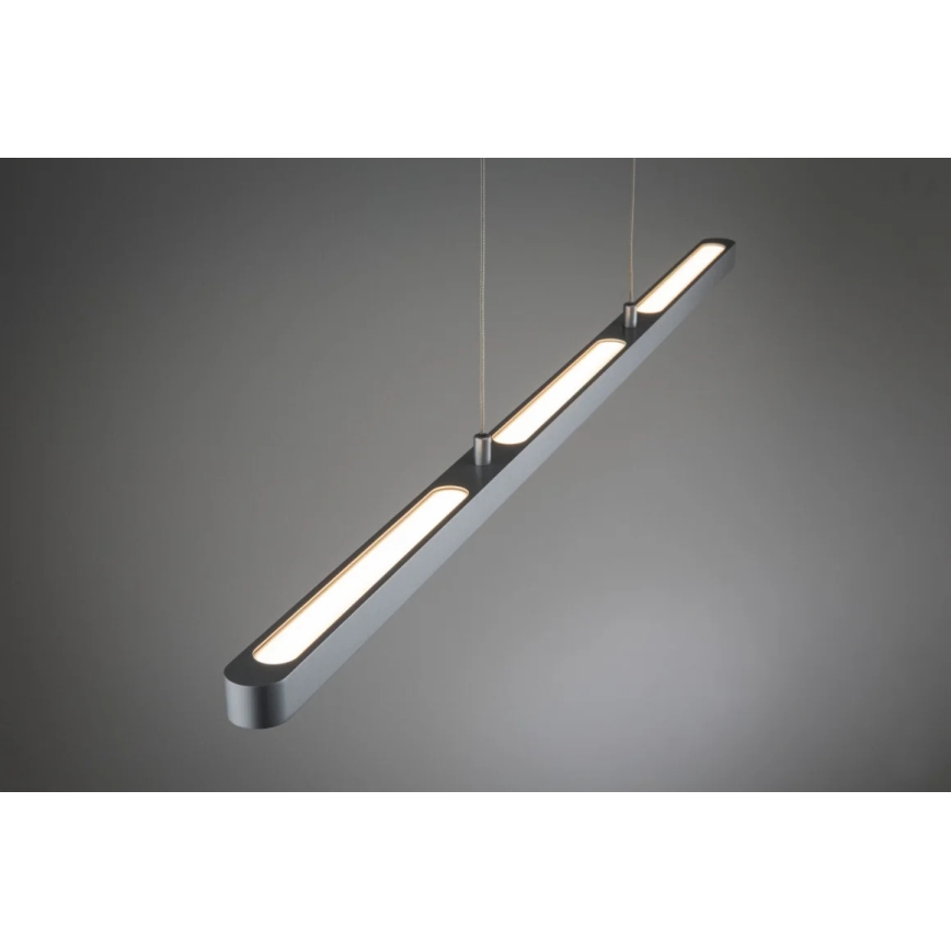 Paulmann 95578 - Lámpara colgante LED/40W regulable en una cuerda URAIL LENTO 230V 2700-6500K