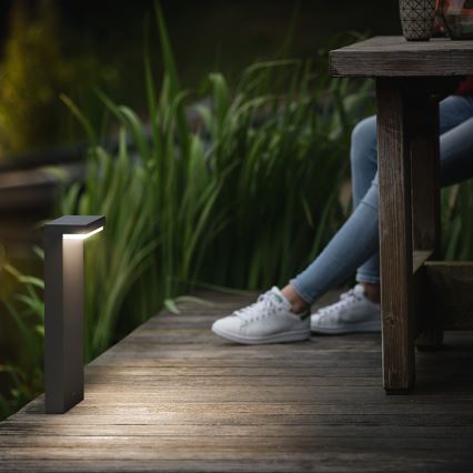 Philips 16485/93/P0 - Baliza LED exterior MYGARDEN BUSTAN 2xLED/4,5W