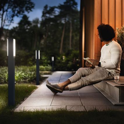 Philips 16489/93/P3 - Baliza exterior MYGARDEN STRATOSPHERE 2xLED/4,5W