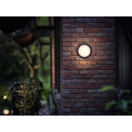 Philips - LED Luminaria exterior LED/3,5W IP44