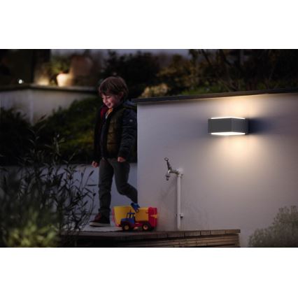 Philips - Aplique exterior E27/42W/230V IP44