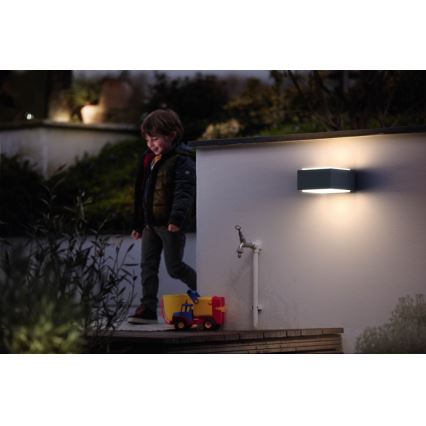 Philips - Aplique exterior 1xE27/42W/230V IP44