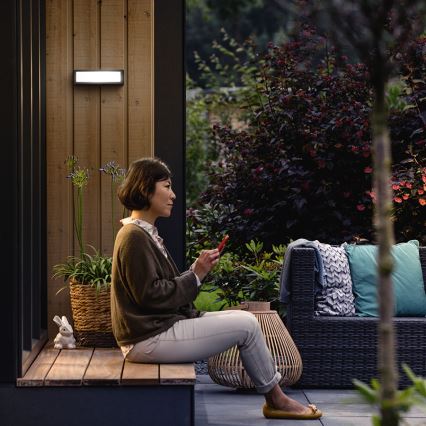 Philips 17354/93/P3 - Aplique LED exterior LED/4,5W IP44