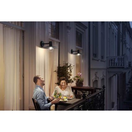 Philips - Lámpara exterior 1xE27/42W/230V IP44